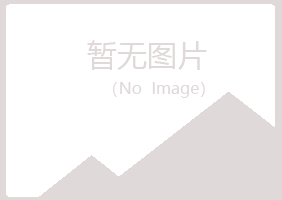 赤峰松山紫山采矿有限公司